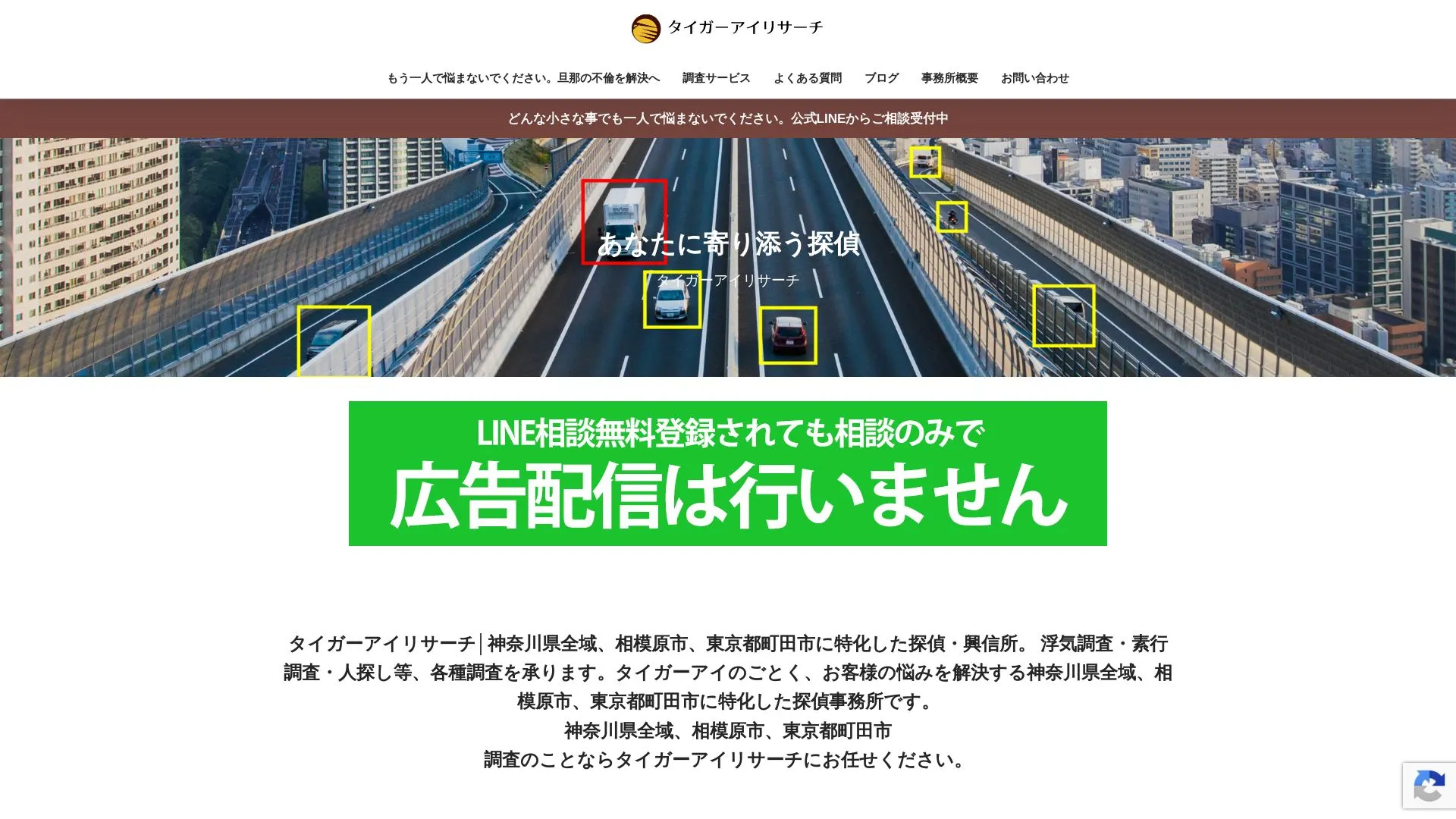 タイガーアイリサーチのメイン画像（2026年9月3日時点の公式サイトの画面）
